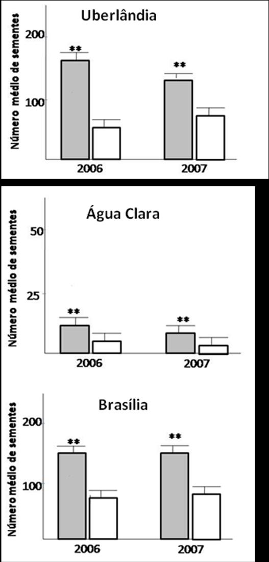 Figura 9 Comparação entre o número médio de sementes produzidos de Ouratea spectabilis (Ochnaceae) na presença (barras cinza) e na ausência (barras vazia) de formigas