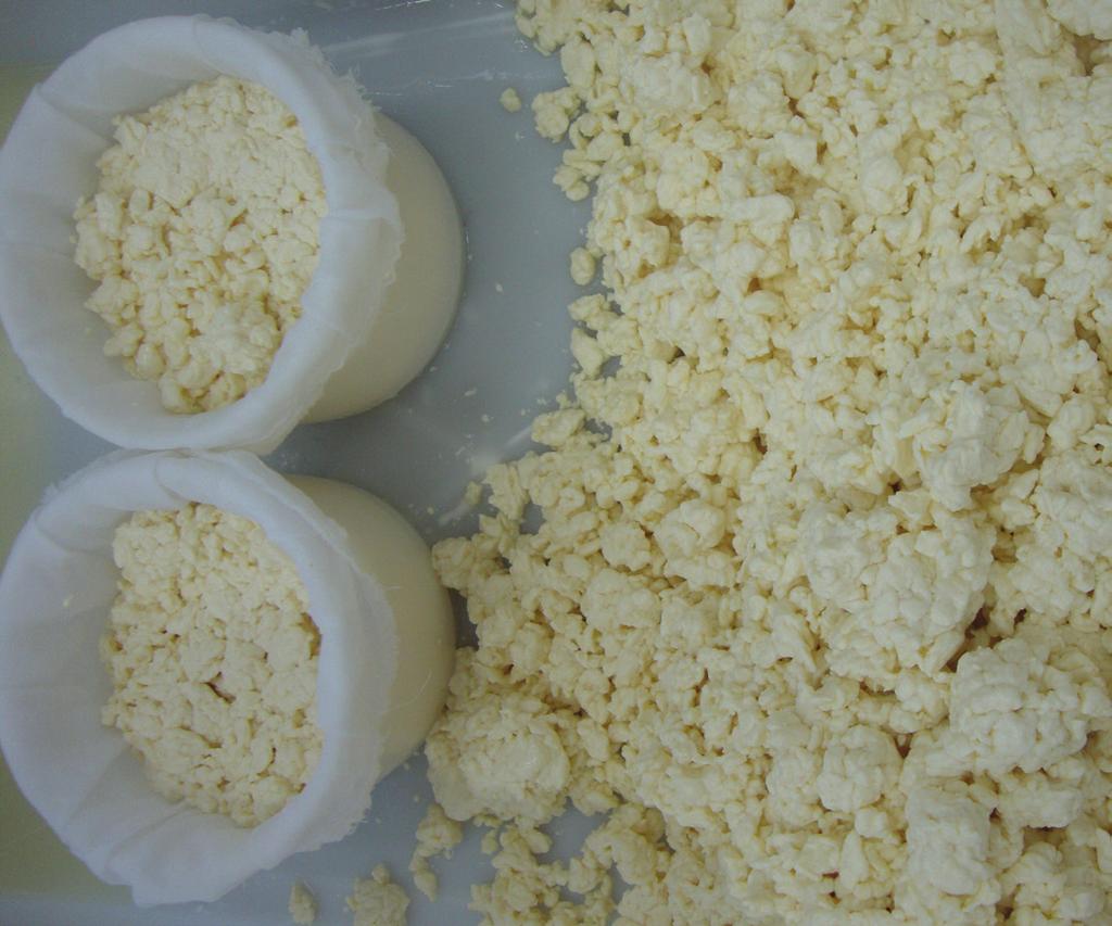 6 Fabricação de queijo caprino elaborado com culturas.