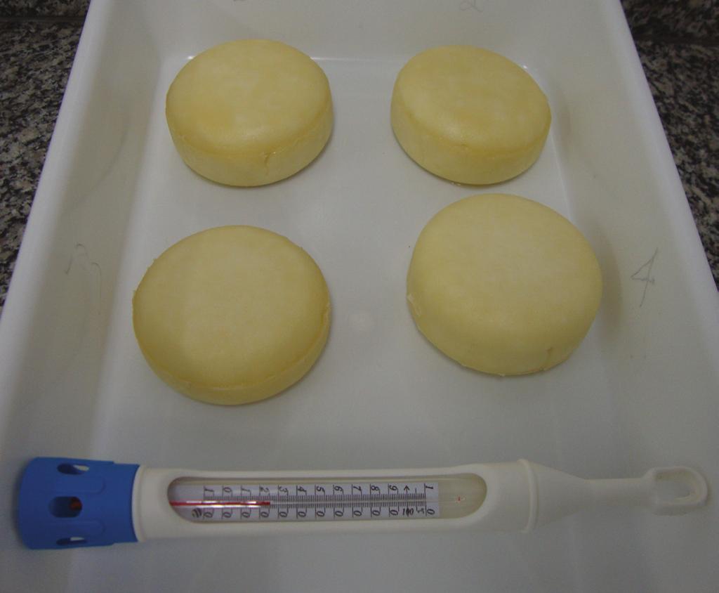 2ª maturação Deve ser efetuada em local limpo e arejado em temperatura controlada de 20 oc, utilizando ar condicionado, durante dez dias, virando os queijos duas vezes ao dia