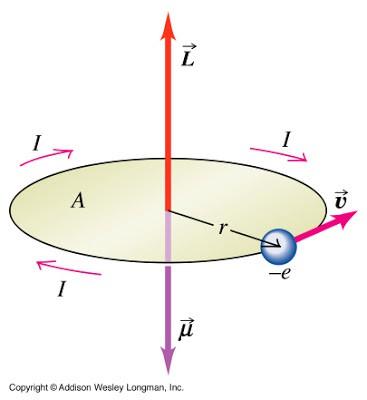 Momento angular e momento de dipolo magnético Suponhamos um modelo simplificado de átomo, com uma carga elétrica líquida e movendo-se em uma órbita circular de raio r.