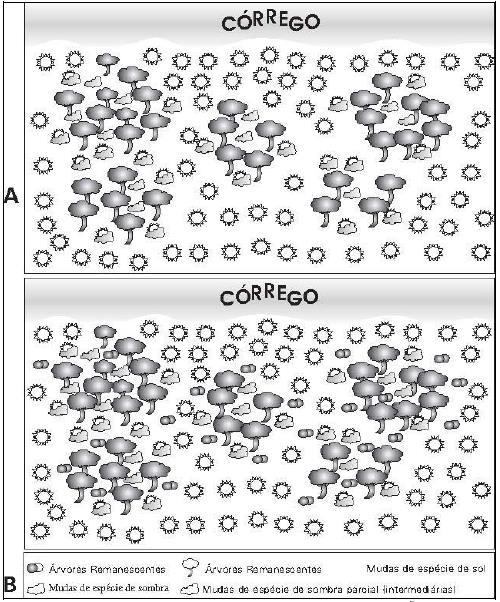 Contrato de Gestão IGAM nº 002/2012 - Ato Convocatório nº 005/2017 57 intermediárias e de sombra.