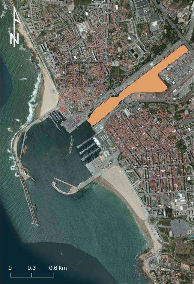 e na praia de Matosinhos (a tracejado cinzento e a branco).