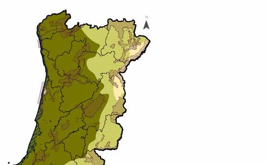 4 Melhoria da Produtividade atravésda Gestão Florestal Sustentável 3.