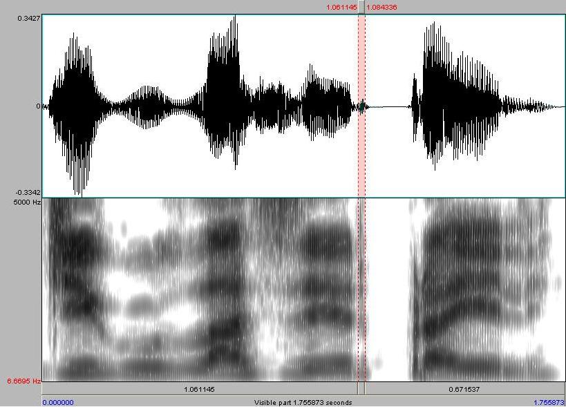 Espectrograma 7- Espectrograma mostrando o elemento vocálico após o tap na palavra