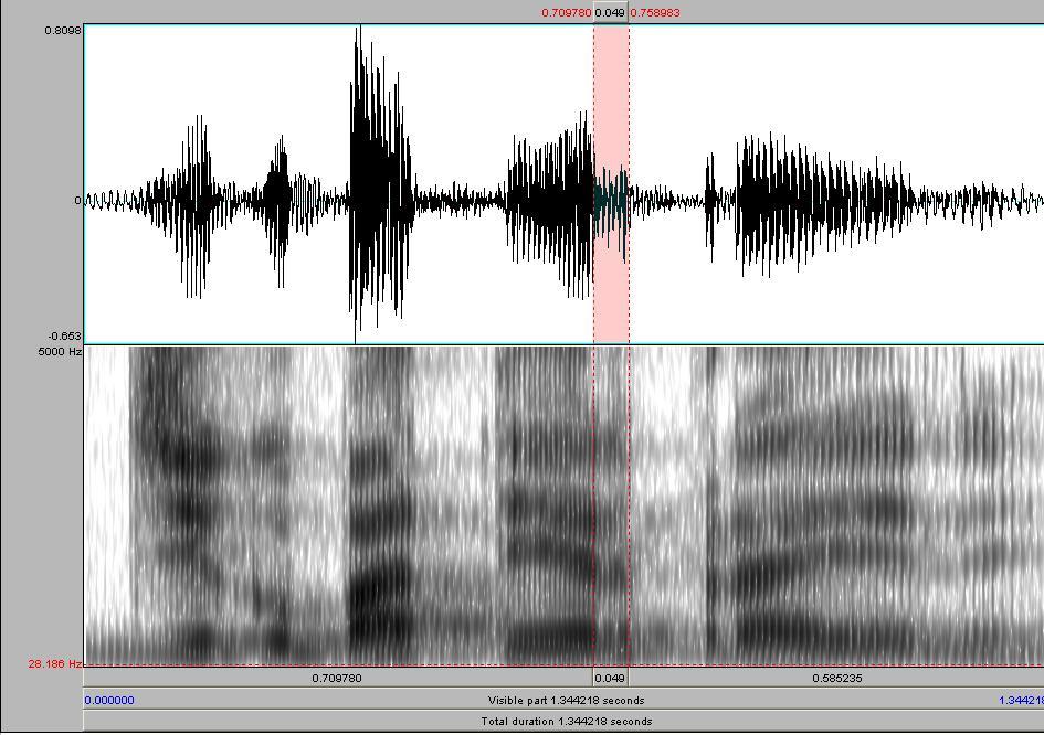 Notem nos espectrogramas, nos espaços indicados pelas barras verticais, os trajetos dos formantes do elemento vocálico.