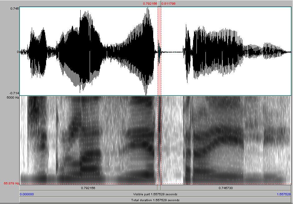 6.2.2 O Elemento Vocálico 6.2.2.1 Inspeção Visual As observações dos espectrogramas corroboram a existência de elemento vocálico para segmentos onde há o tap na posição de coda.