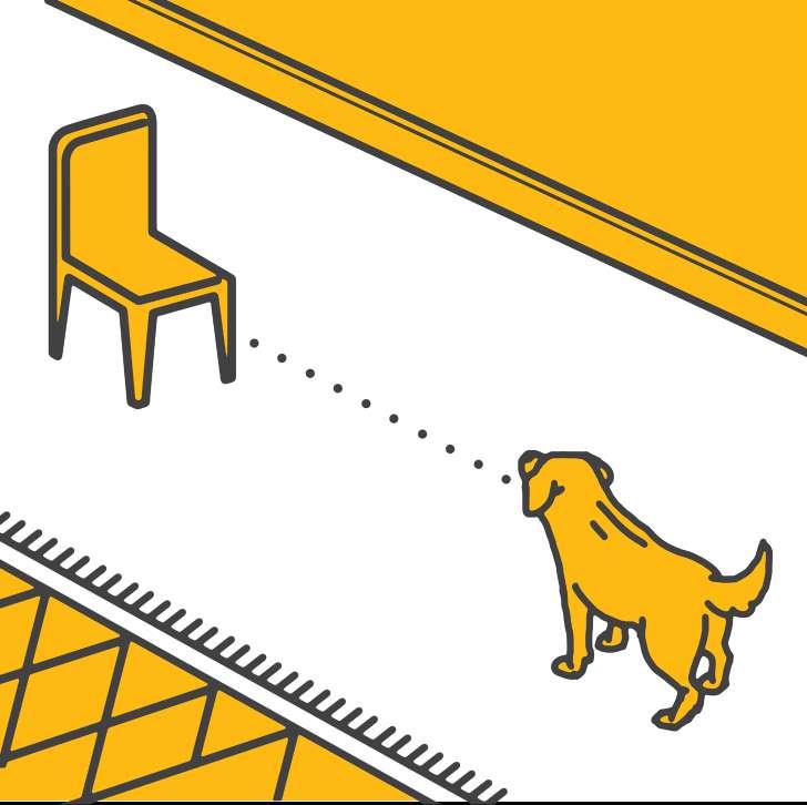 1 CUIDADO COM OS MÓVEIS Os cães, mesmo quando cegos, mapeiam o ambiente e decoram a localização e a distância entre cada móvel.
