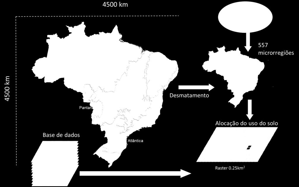 A alocação de cada cultura para o ano inicial do modelo é baseada nas estimativas municipais de área plantada e de área de floresta plantada por estado (ABRAF, 2012; IBGE, 2012).