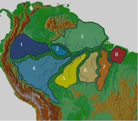 Distribuição da Avifauna na Amazônia Hipóteses sobre como as espécies evoluíram no tempo e no espaço são formuladas a partir, dentre outras coisas, da identificação de padrões de distribuição de