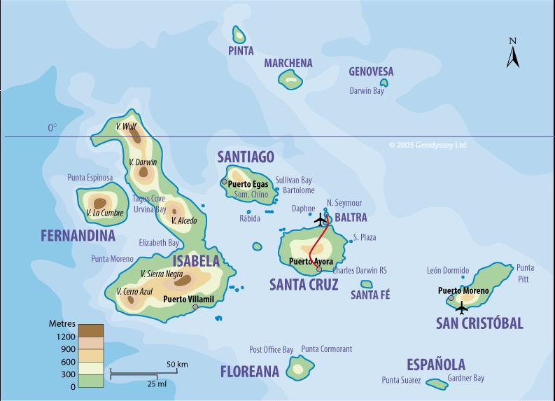 Arquipélago de Galápagos Ilhas oceânicas remotas são reconhecidas como modelos naturais para o estudo dos processos evolutivos envolvidos na diversificação de espécies, já que o distanciamento