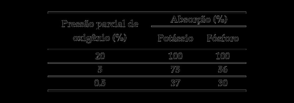 Fonte: Adaptado de Marschner, H.