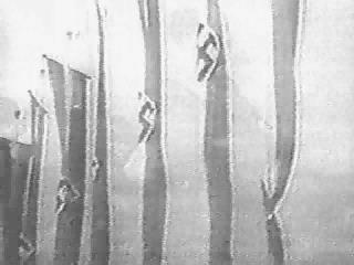 Nazismo Oratória Propaganda Doutrina: Raça Ariana
