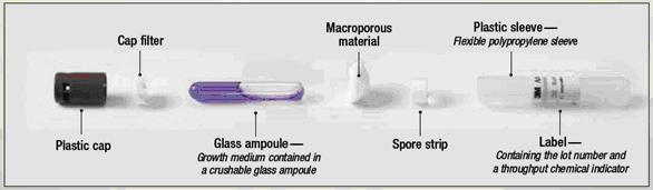 Exemplos de Indicadores Biológicos Esporos de microrganismos adsorvidos num suporte de papel Ampolas que contêm esporos de microrganismos