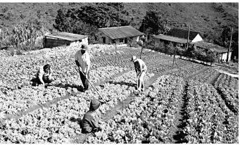 e) A produção monocultora, alta produtividade, dependência de recursos não renováveis, agricultura considerada como um negócio. 9) Leia a tabela a seguir.