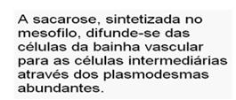 O mecanismo quimiosmótico é responsável pelo transporte ativo de sacarose das c