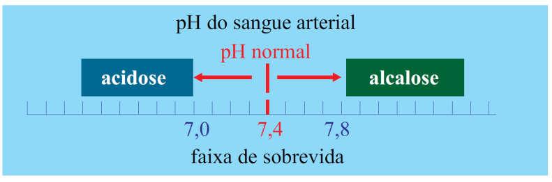 17. (UFTM) O ph do plasma sanguíneo está entre 7,35 e 7,5 e essa faixa estreita é mantida graças aos sistemas de tampão biológicos.