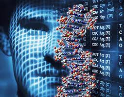 1953 James Watson e Francis Crick propuseram a estrutura em dupla hélice do DNA (Nobel de Fisiologia ou Medicina, 1962) 1860 Friedrish Micescher - identificação do DNA Phoebus Levene e Erwin Chargaff
