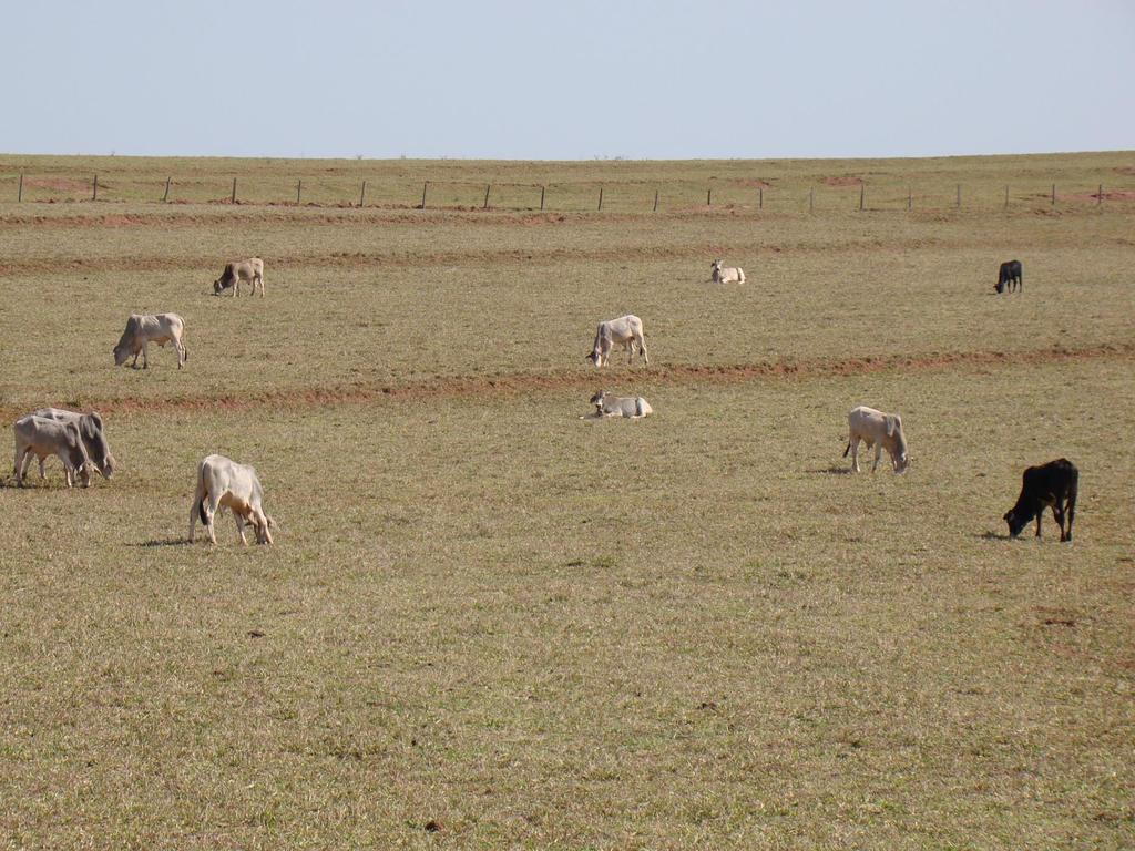 Panorama em Maria