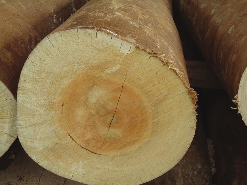 CAPÍTULO 9 Manejo das árvores e propriedades da madeira em sistema de ILPF com eucalipto 123 Ao fazer o planejamento do sistema, deve-se sempre buscar conhecer bem o mercado comprador dos produtos.