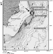 geoquímicos (Carbono Orgânico Total - COT e Pirólise Rock-Eval) para caracterizar a origem e conteúdo da matéria orgânica e determinar o estado e processos de preservação dos componentes orgânicos