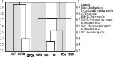 dinoflagelados), o grau de correlação entre eles torna-se mais negativo. Figura 2: Diagrama ternário MOA-FITO-PALIN.
