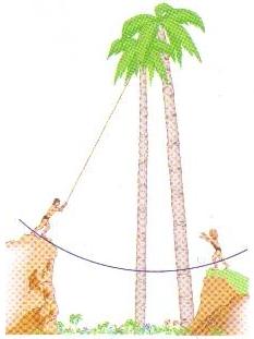 3. Tarzan, que pesa 688 N, salta de um penhasco na extremidade de um cipó com 18 m de comprimento, conforme mostra a figura 2.