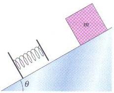 Figura 3: Exercício 4. possui atrito até o bloco atingir o nível mais alto, onde uma força de atrito para o bloco depois que ele percorre uma distância d.