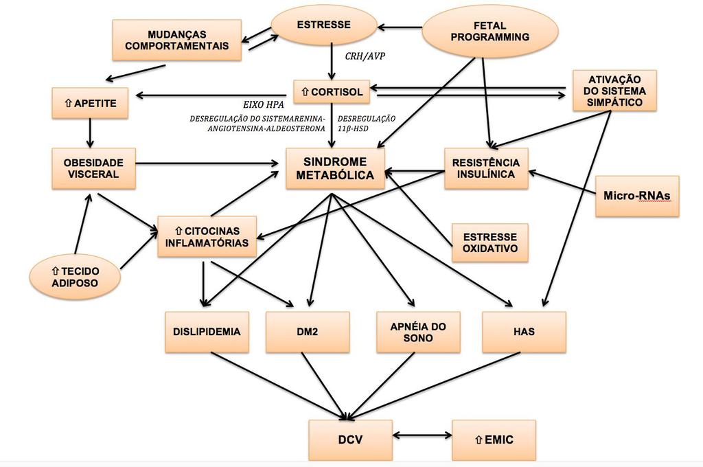 2 Revisão Bibliográfica 36 Figura 1 - Imagem esquemática das condições implicadas na fisiopatologia da Síndrome Metabólica e suas potenciais interações.