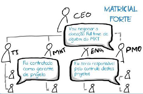 A estrutura matricial pode se apresentar de três formas distintas: estrutura matricial fraca, forte ou balanceada.