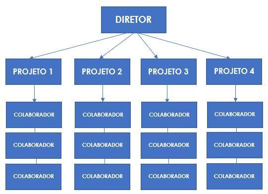 Estrutura por projeto Estrutura por projeto Também chamada de estrutura de equipes autônomas.