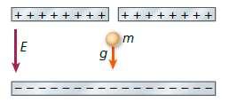 Assinale qual das opções a seguir melhor representa a variação da velocidade da carga em função de sua posição ao longo do eixo x.
