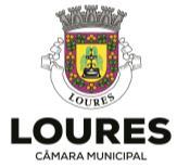 Diretor Municipal de Loures