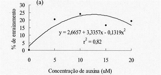 Efeito de auxina: Rizogênese Efeito de auxina no