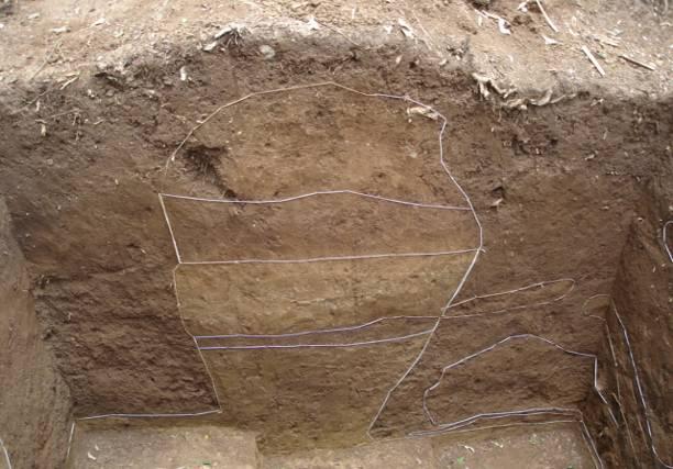 O solo era muito frouxo, destoante do estéril, compacto e argiloso, com colorações homogêneas (como pode ser visto na figura 3). Estes nichos poderiam ter desde 40cm até 1,0m de altura.
