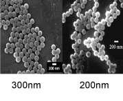nanométricas (inferior a 100nm).