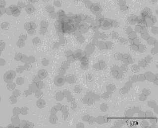 Blendas com Adição de Nanocargas Partículas inorgânicas sólidas podem atuar como agente compatibilizante em misturas poliméricas.
