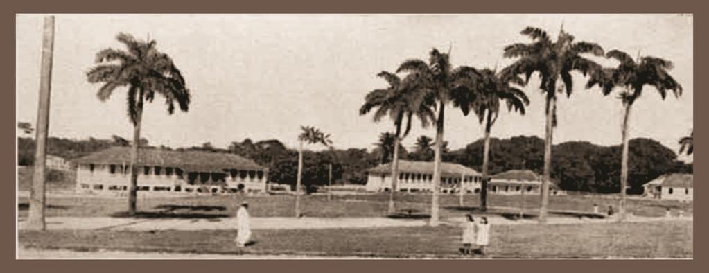 81 doentes de febre amarela; o Hospital São Sebastião, para o isolamento de variolosos, também construído no final do século XIX e, posteriormente, foi entregue pelo serviço sanitário estadual à