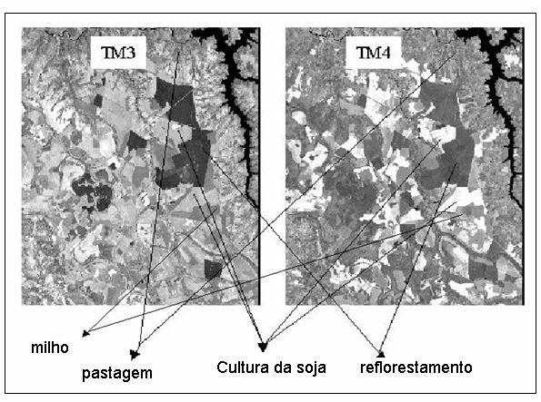 Fig. 1 Variação da radiação refletida pelas culturas da soja e do milho nas bandas TM3 e TM4