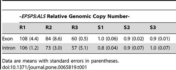 Gene Amplification. PLoS ONE 8(6): e65819. doi:10.1371/journal.