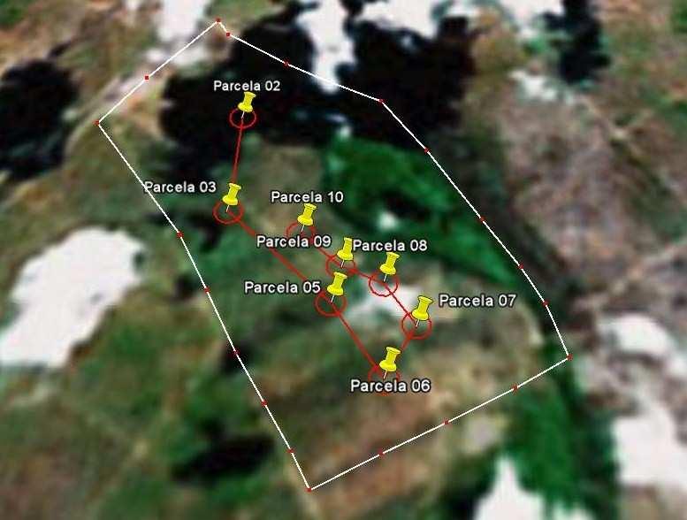 2.2 Locações das parcelas em campo Conforme observa-se na Figura 2, foram instaladas 8 parcelas retangulares para o processo de amostragem, tendo o tamanho de 500 m² (50 m X 10 m), embora não haja um