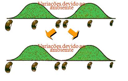 Número de plantas em diferentes classes em diferentes gerações segregantes para 4 genes. Todos os 4 locos em homoz. F (6,5%) 8 F 3 (3%).40 F 4 (59%) 50.65 F 5 (77,5%) 93.5 F 6 (88%) 5.75.