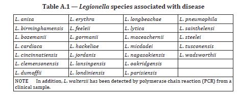 Enquadramento Geral > 61 espécies e 70 serogrupos distintos; Pelo menos 26 espécies de Legionella estão associadas a doenças no ser humano, como por exemplo, Legionella