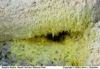 Reações de desidratação e descarbonatação em partes profundas da crosta Metamorfismo de rochas sedimentares Desgaseificação do manto: CH 4 +O 2 2H 2 O + CO 2 Águas meteóricas podem penetrar até