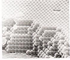 Fluídos Solubilidade do quartzo em fç da T, em diferentes P Misturas de H 2 O e CO 2 Formação de calcário, metamorfismo deste (elevada T e P) Alteração de minerais desidratados (olivina e piroxênio):