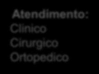 Atendimento: Clinico