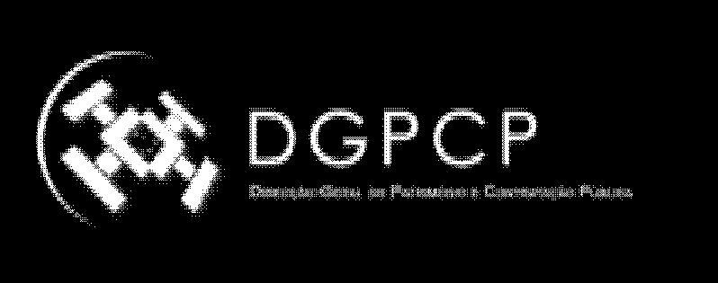 Direcção de Serviço da Contratação Pública Função no Sistema Coordenação do sistema de aquisições públicas Entidade Responsável DGPCP Principais Atribuições Definição da estratégia nacional e