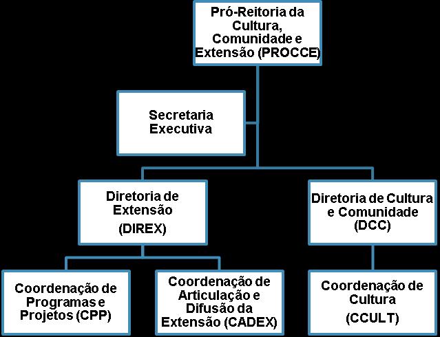 11 ações de extensão e de cultura por meio da interação com diversas instituições públicas, privadas e organizações não governamentais, visando identificar, acessar e angariar recursos financeiros