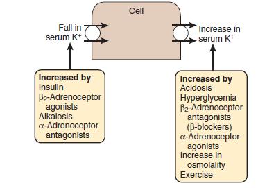 Comprehensive Clinical Nephrology.