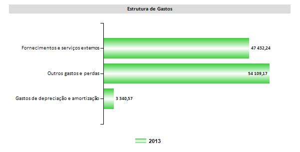 Relativamente aos gastos incorridos no período económico ora findo, apresenta-se de seguida a sua