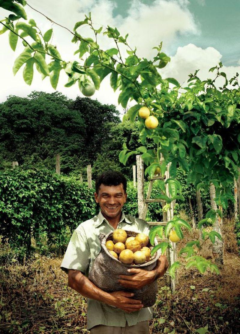 Sustentabilidade Desempenho sócio-ambiental Compromisso com a sustentabilidade: 10 anos de lançamento da linha EKOS: - Parcerias com 19 comunidades fornecedoras. - 1.